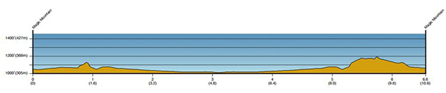 TT profile